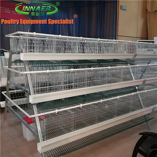 Animal husbandry chicken cage equipment for poultry farm
