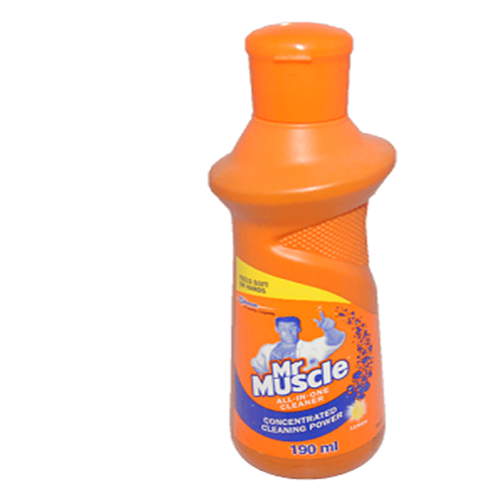 500ML MR MUSCLE ALL IN ONE CLEANER