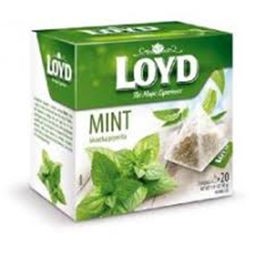 40G LOYD MINT TEA