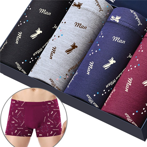 Zhao Yu Boxer Briefs 