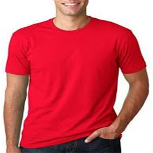 BYC MEN'S COLOURED T-SHIRT R-NECK