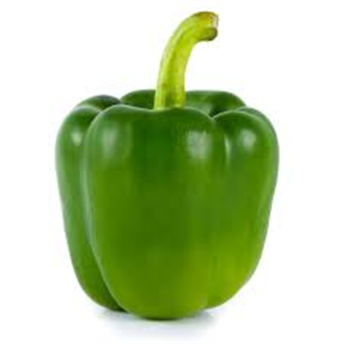 GREEN PEPPER PER KG