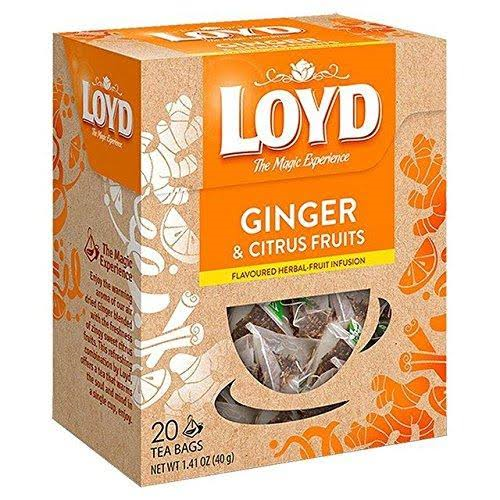 40G LOYD GINGER AND CITRUS FRUIT TEA