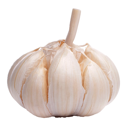 GARLIC FOREIGN PER KG