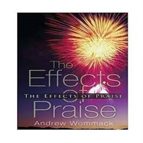 THE EFFECT OF PRAISE