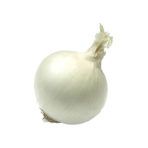 WHITE ONION PER KG