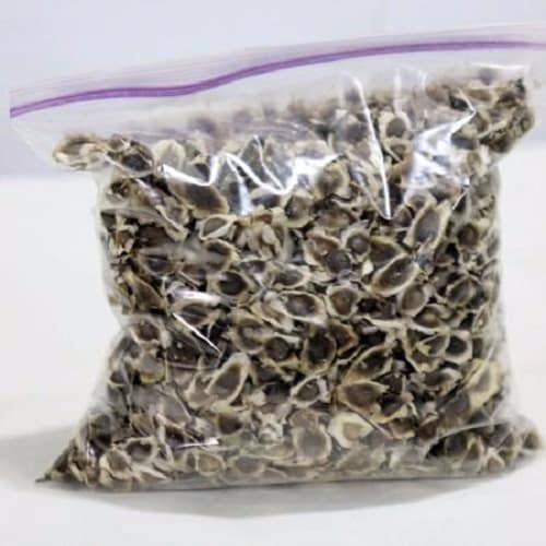 MORINGA SEED PACK