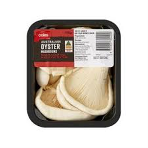 OYSTER MUSHROOM