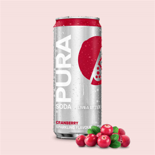 330ML CRANBERRY SPARKLING NON-ALCOHOLIC DRINK