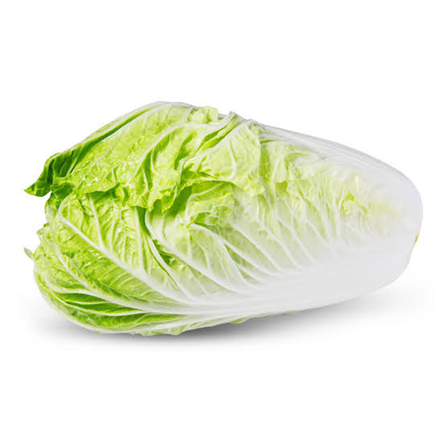 Chinese Cabbage