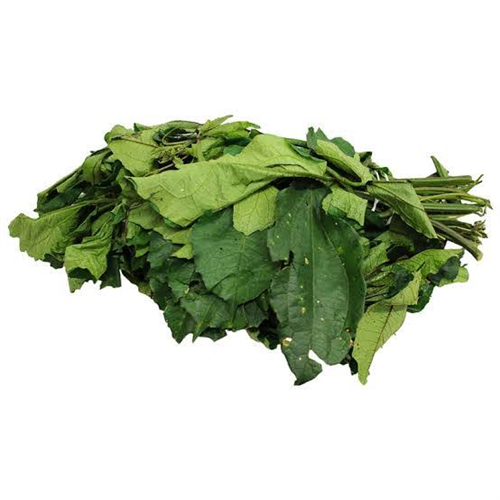 UGU LEAF