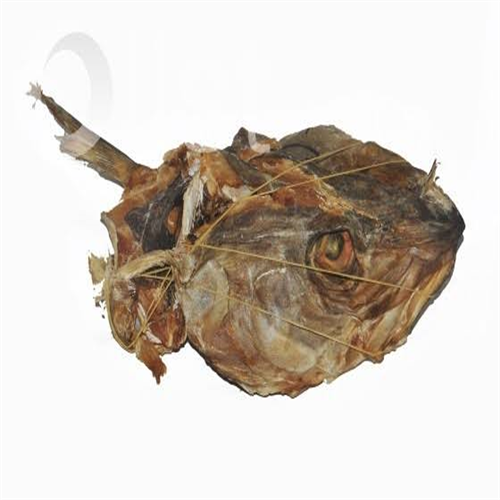 STOCKFISH HEAD