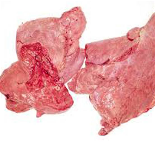 OX LUNG PER KG