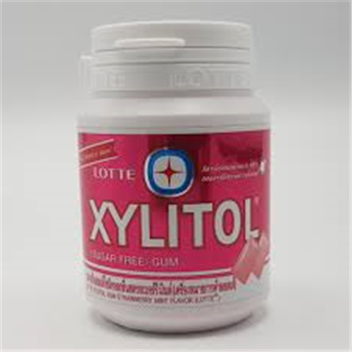 LOTTE XYLITOL MINT GUM MINI MIX