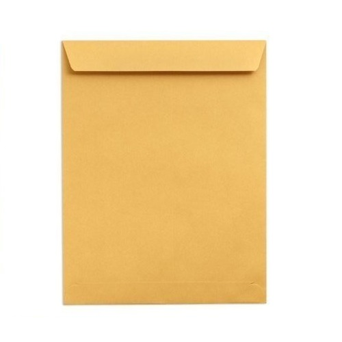 Big Brown Envelope