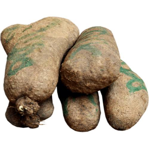 YAM TUBER