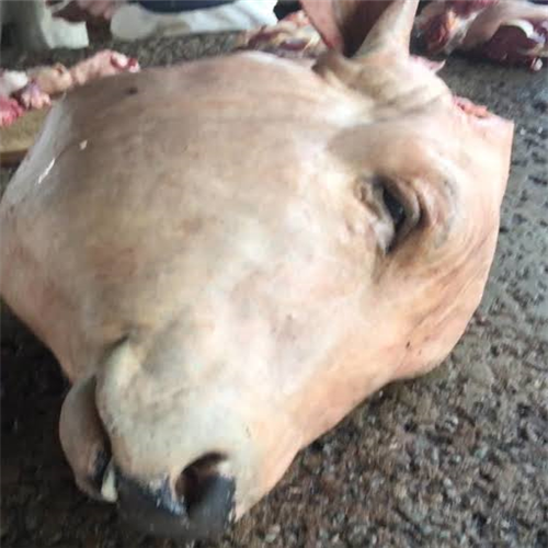 COW HEAD PER KG