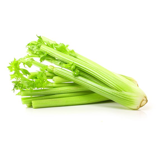 CELERY PER BUNCH