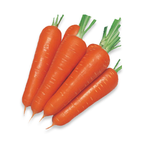 CARROT PER KG