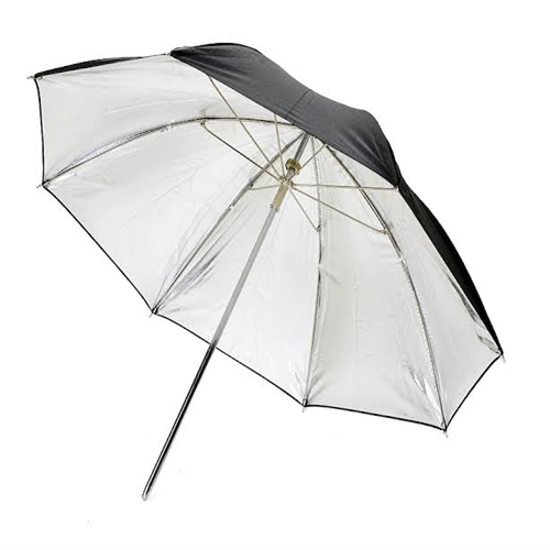 24SPK CURVE MED SILVER UMBRELLA