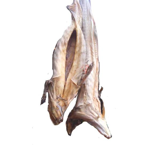 STOCKFISH HARD COD MEDIUM 