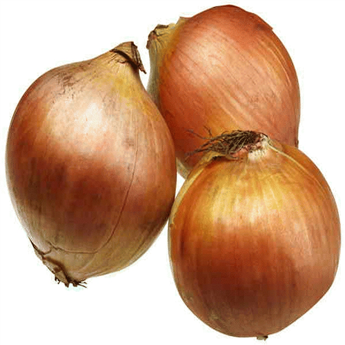 BROWN ONION PER KG