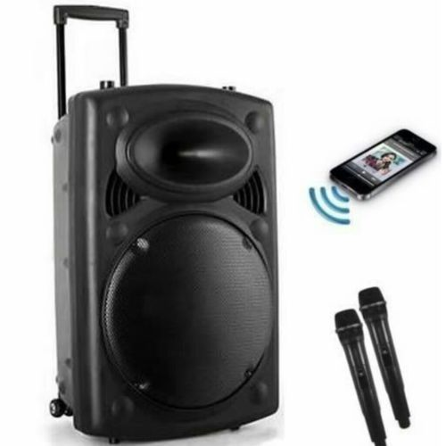 RECHARGEABLE PA SYSTEM 12"