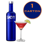 CARTON of SKYY Vodka