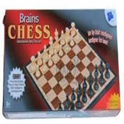 Brain Chess Educational Toys Fun Lot